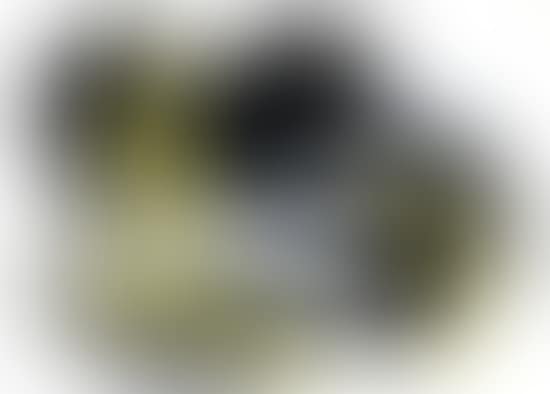 T1971-A15 (preview)