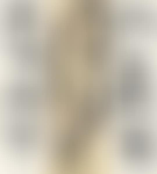 Eagle standing on pine tree. Four-character couplet in seal script (preview)