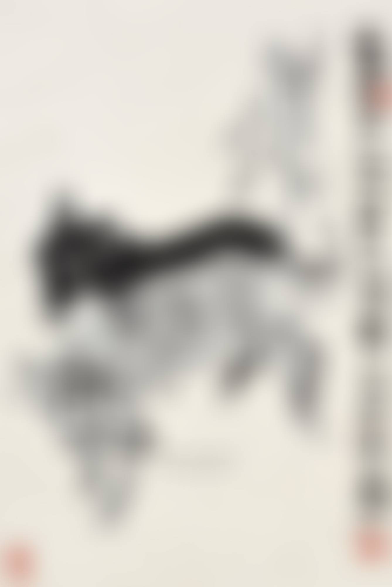 Donkey (preview)