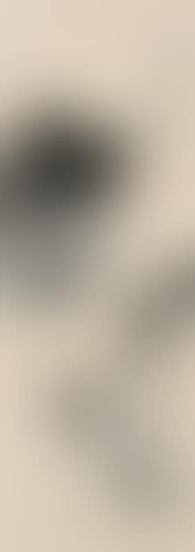 Taro (preview)