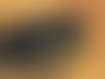 Landscape (preview)