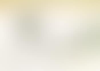 Svanshall reversed (preview)