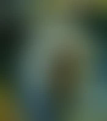 Punt (preview)