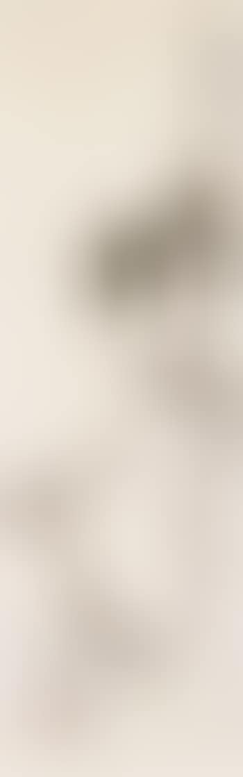 Bamboo, plum blossom by Yang Shanshen (preview)