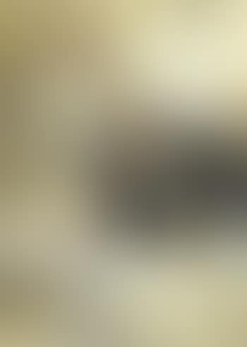 La secretaire (preview)