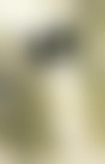 Birds amidst willow (preview)