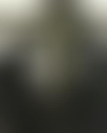 Crucifixion (preview)