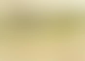 Paddy field (preview)