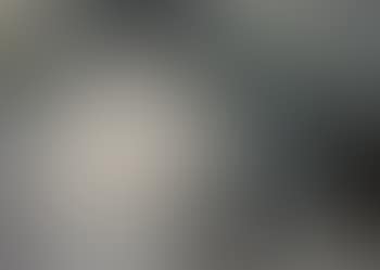 Silkworm in a cocoon (preview)