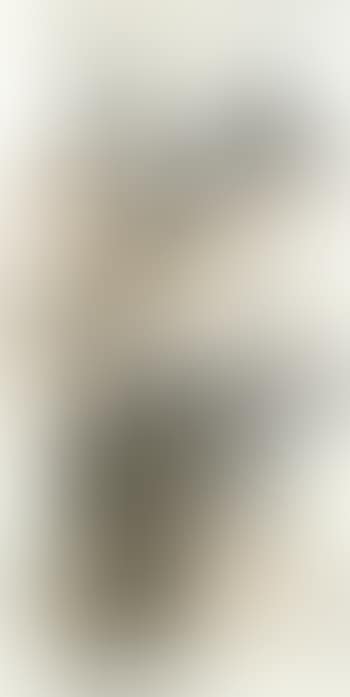 Landscape (preview)