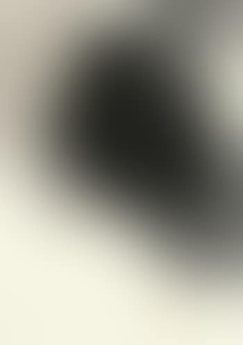 Landscape (preview)