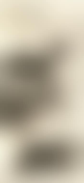 Landscape (preview)
