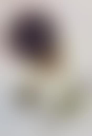 Untitled (preview)