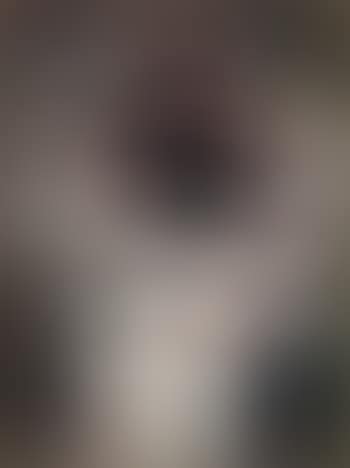 Figure (preview)