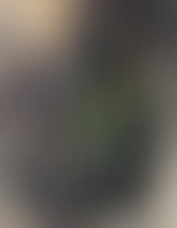 Coq au petit clown (preview)