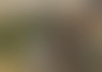 Soldat (preview)