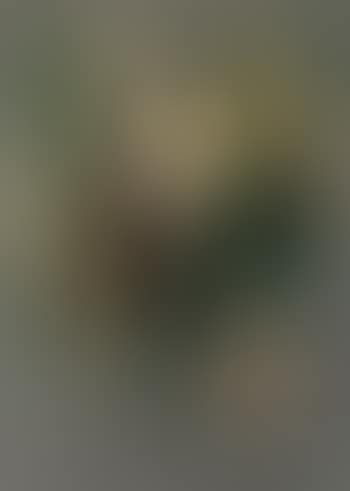 Chatelard, paysage (preview)