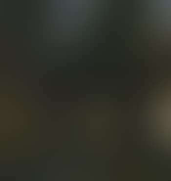 La voute (preview)