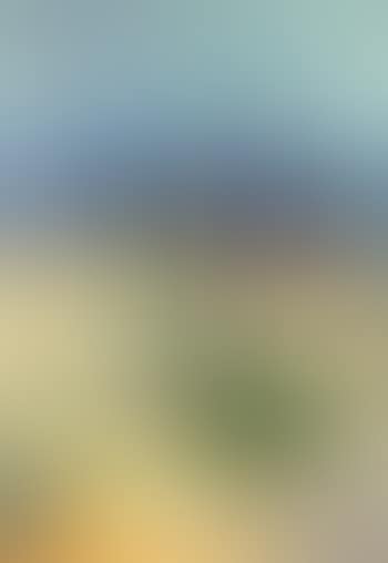 Place de la Concorde (preview)