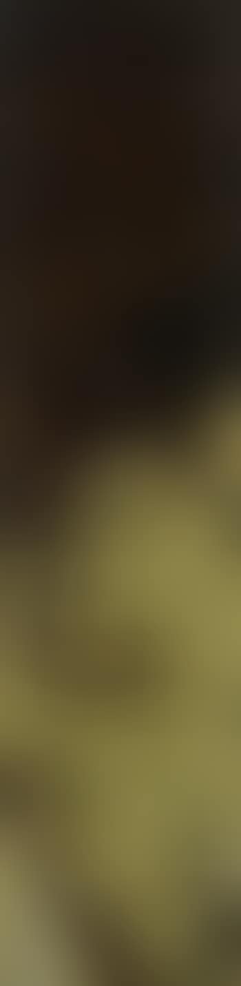 Brown landscape (preview)