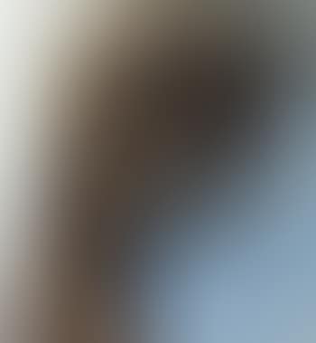 Head of Christ (preview)