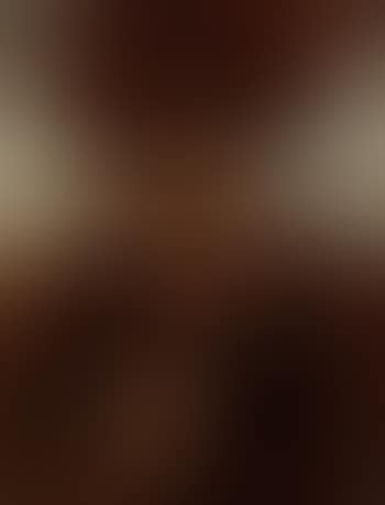 Ancien combattant (preview)