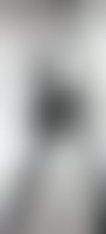 Single Elvis (preview)