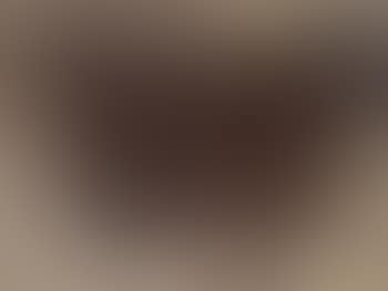 Vache tachetee (preview)
