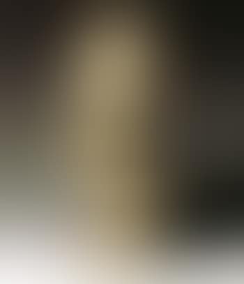 Buste de Victor Hugo (preview)