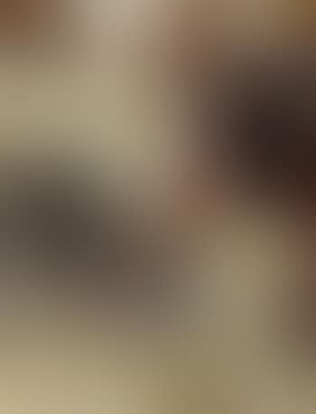Number 12 (preview)