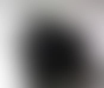 Tortue (preview)