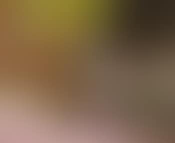 Still life (preview)