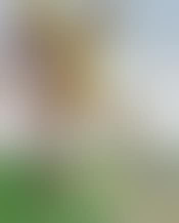 Saint-Ay, paysage (preview)