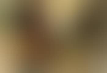 Javanese boat (preview)