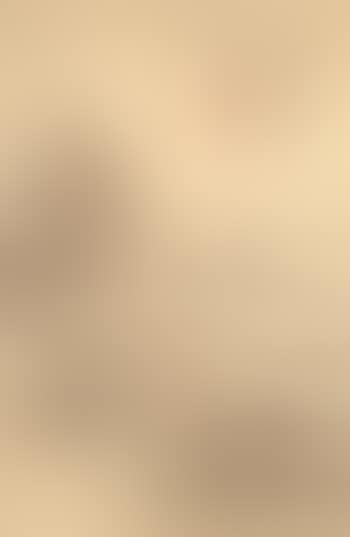 Landscape (preview)