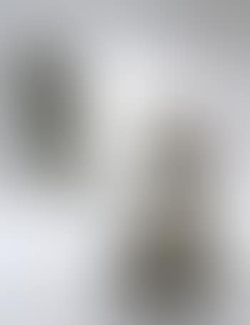 Tireur d'epine (preview)