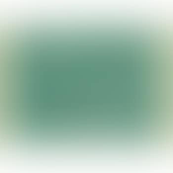 S and H Green Stamps (preview)