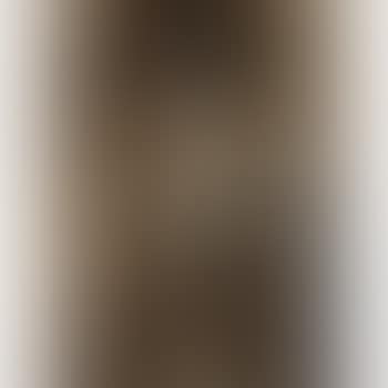 Caballero (preview)