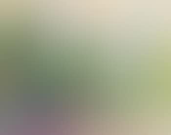 Landscape (preview)
