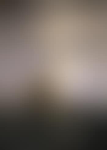 Seascape with vessels in Oresund (preview)