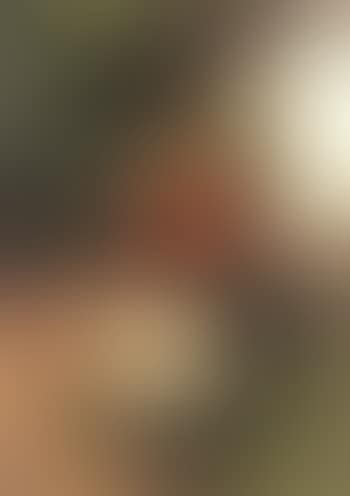Small peasant girl with red coat outside farmhouse (preview)