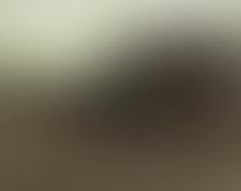 Heather covered heath (preview)