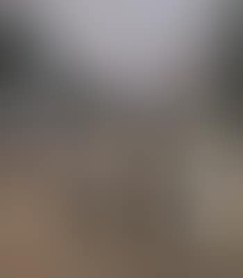 Cyclists at Emilias Kilde - evening at Strandvejen (preview)