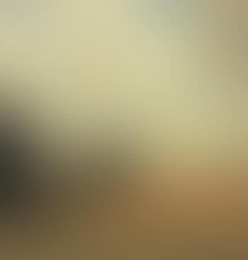 Landscape with view of meadow (preview)