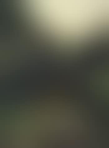 Snails in the artist's garden 1930 (preview)