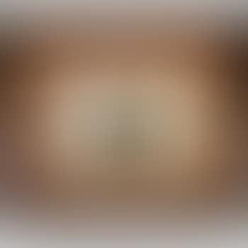 Rape of Europa (preview)