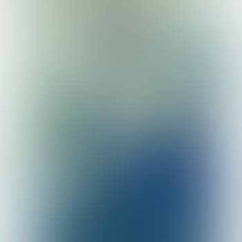 Le deshabille bleu (preview)