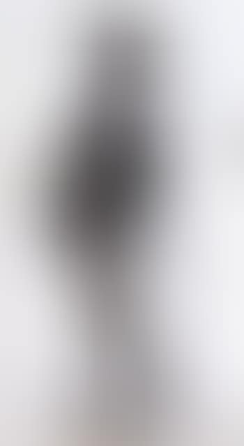 Stockman (preview)