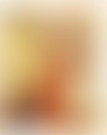 Interieur aux tentures roses (preview)