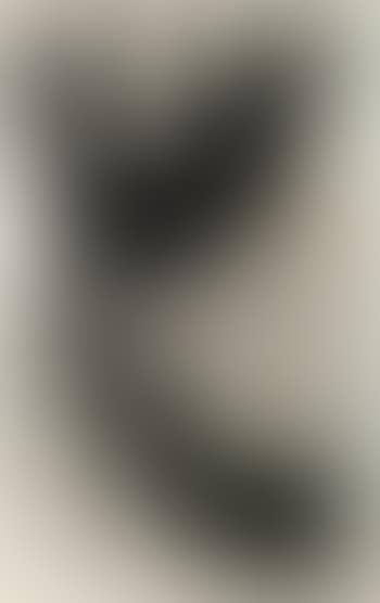 Le puisatier (preview)